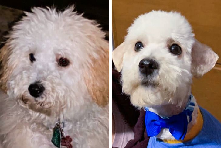 6563685c81b20d0bb19a5123b1