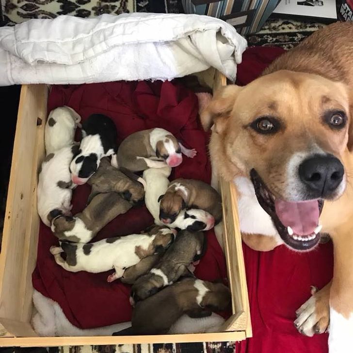 656828505598bc7fb45099953a