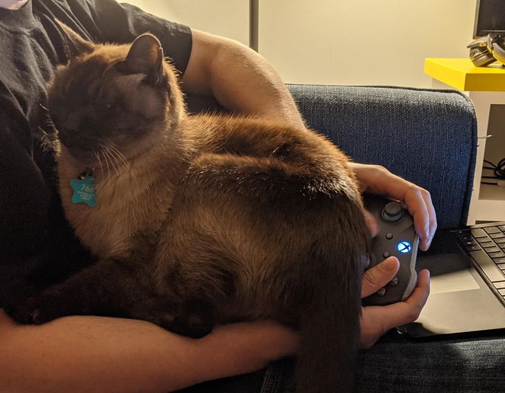 656a225c18b33f5585772860e5