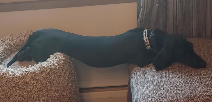 656baf5261813f54e890f6a55c 656baf5261813f54e890f6a55c