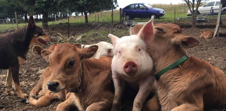 65753b5126aa2df4cb0ab9881d