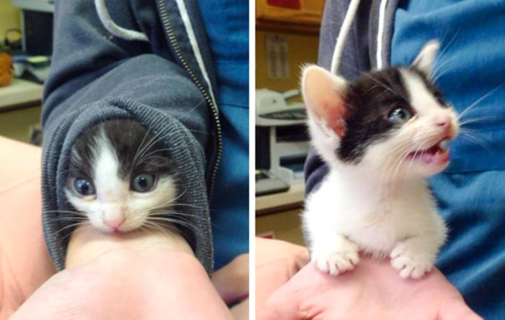 6575f55354a136c99bd9c0b465