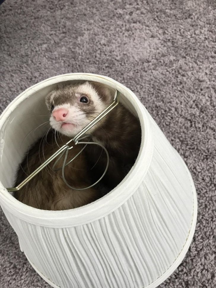 657a4f5da5951119dabd885627