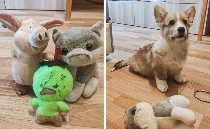 657ed6511f82e213245ce980a8