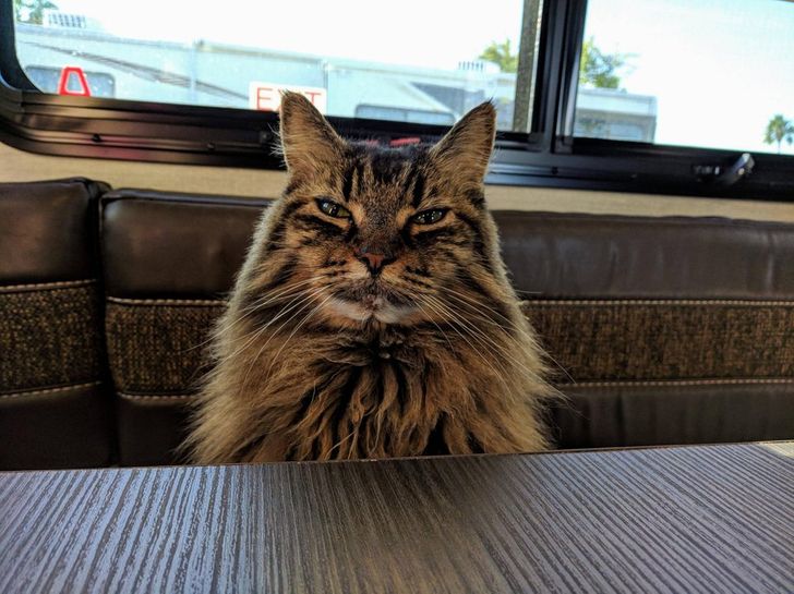 6583b7563b8774f3d96a31d278