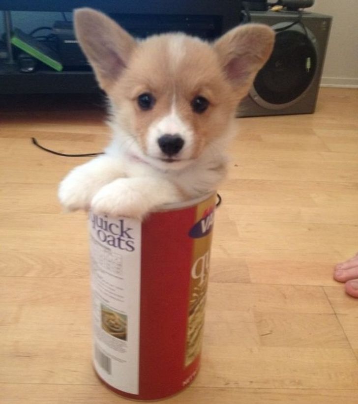 65894e5504a2a7626e307053d8