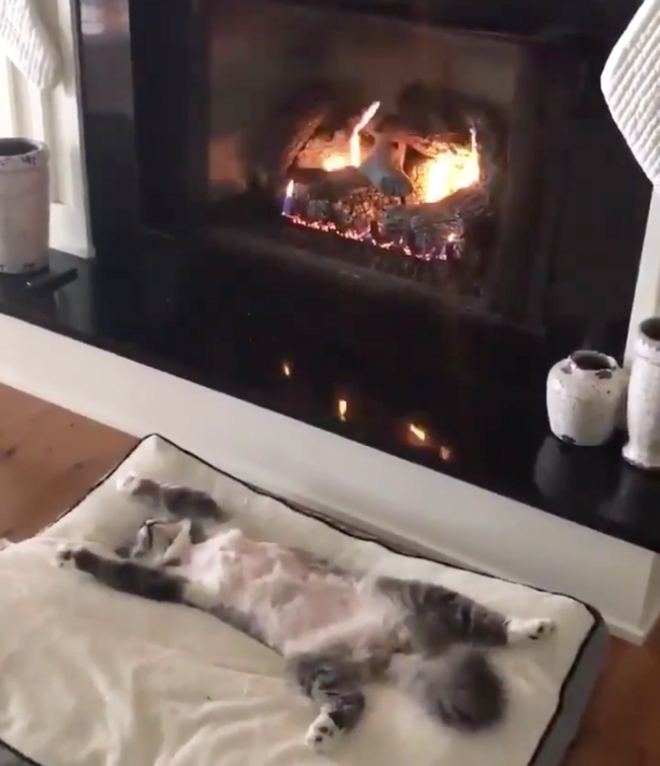 65896958d0afb6e4e746401d0d