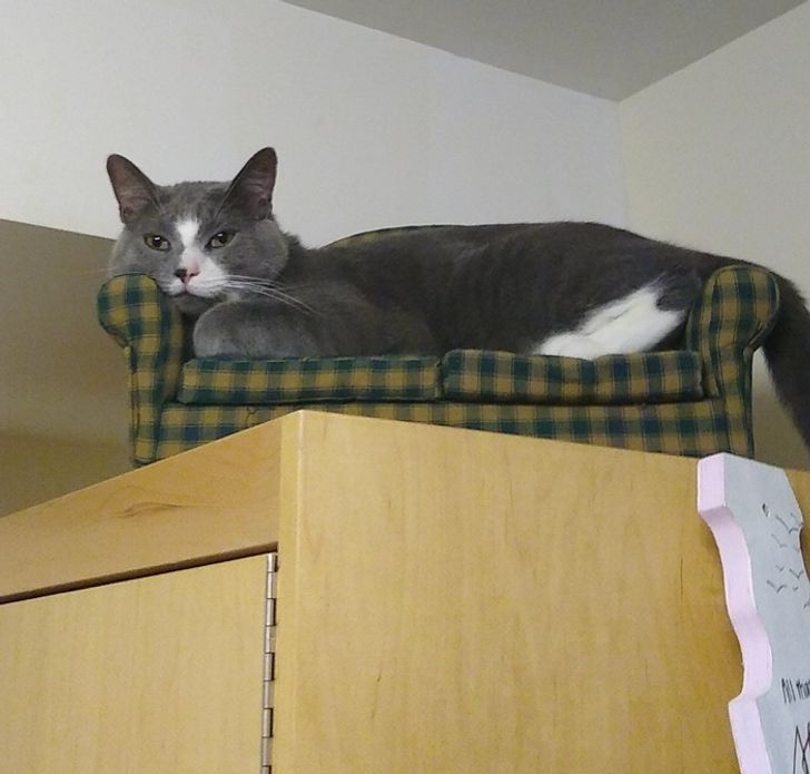 658abf55ffa1da291a06b12242