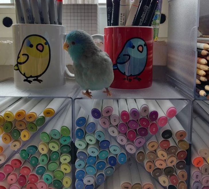 658d2f53b8815ef7b6e4af4ece