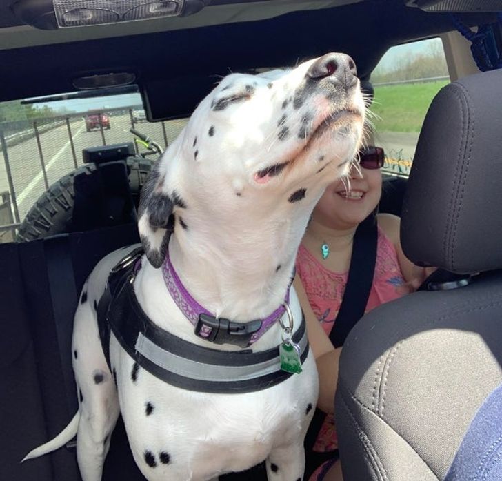 6593405e4c95d3aed7f7ad76f7