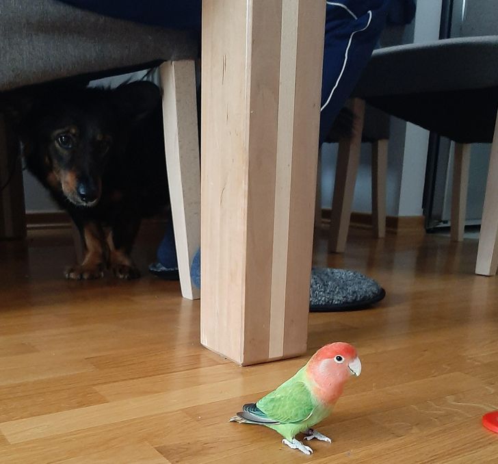 65969e514f90874d18d864b425