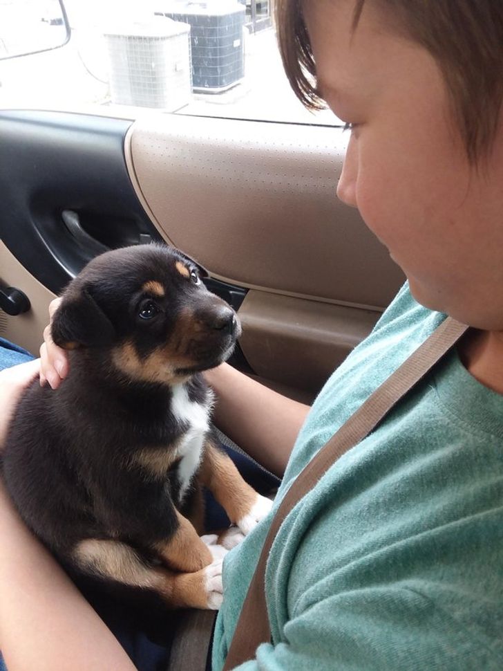 65991f5184ae1f082853247154