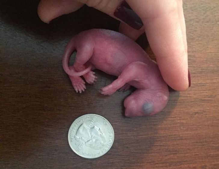 65a1b3519f93cdbeb2c95a48ea 65a1b3519f93cdbeb2c95a48ea