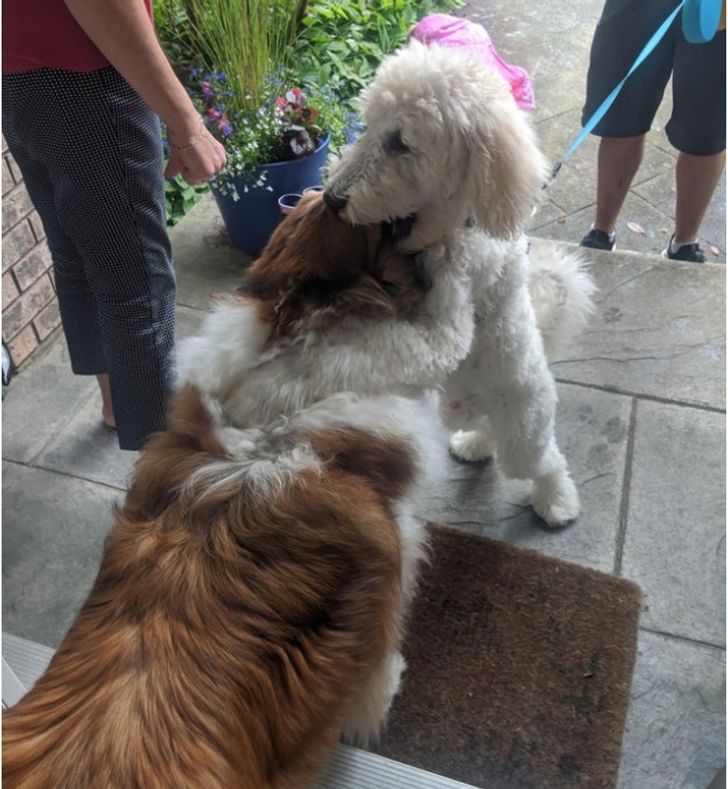 65a76c5c318e0e9d6fde42e3dc