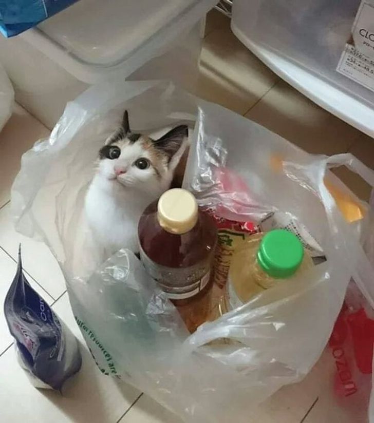 65aaa45f14b599689a4f11f535