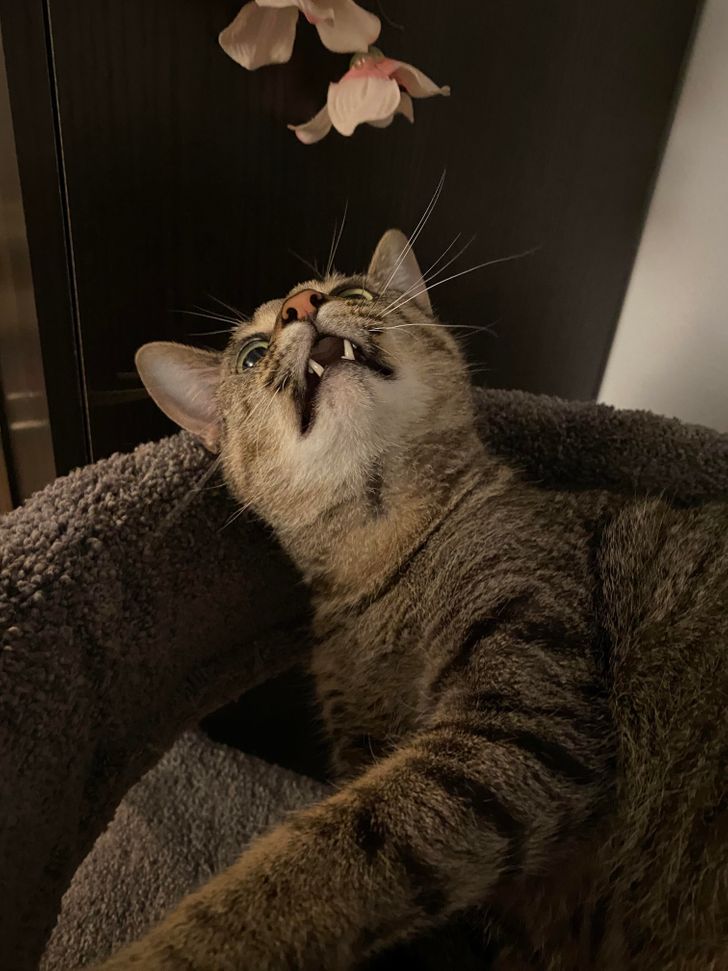 65affe569cb34e1449ed52009d