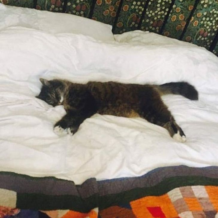 65b01e5559877c18d8fa68b639