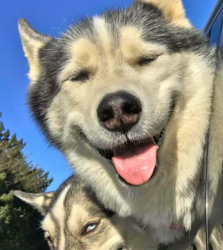 65b86251009e4fe0b7ac876a48