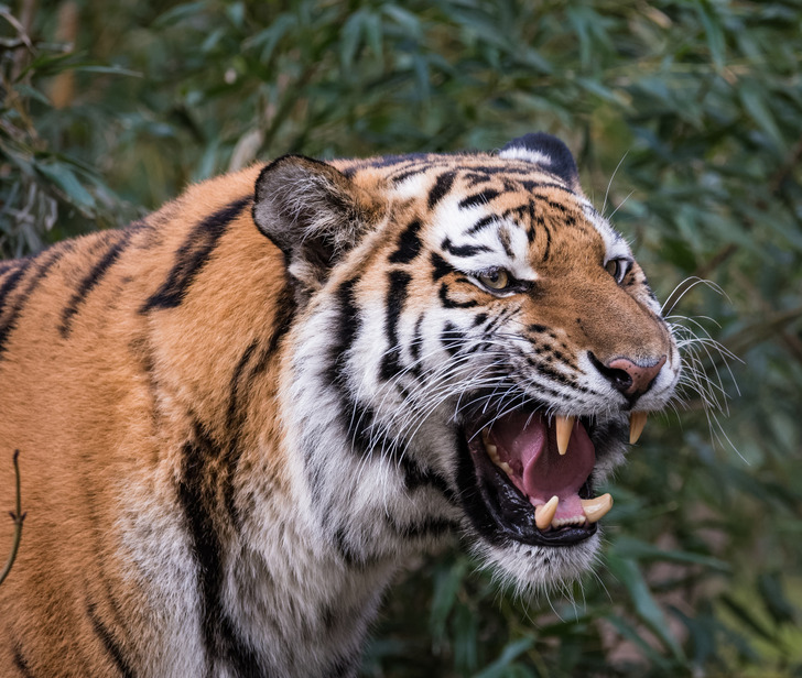 65c2a3553d9b342a5b631bfccf