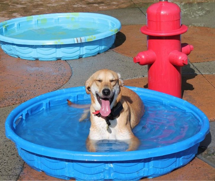 65c5a851858a767a77f5ea0db3