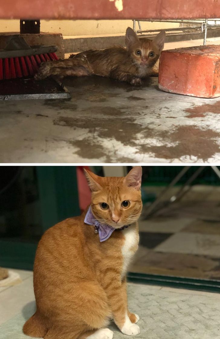 65cb9e57fd91f284f7a245251a