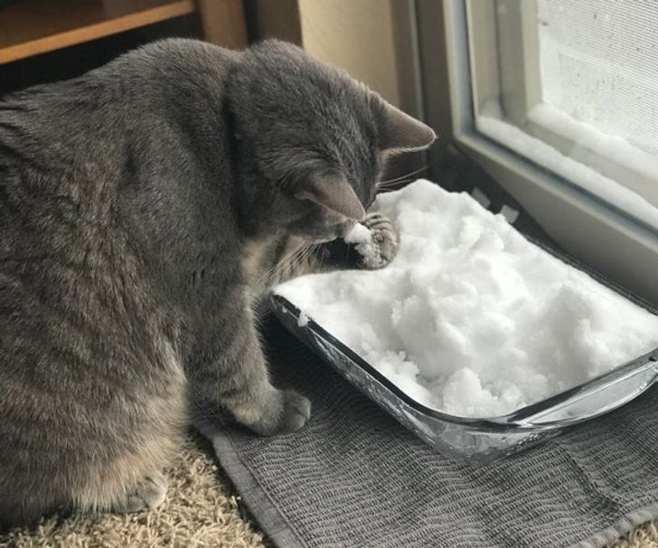 65cd665f9a81b78610c02f2820