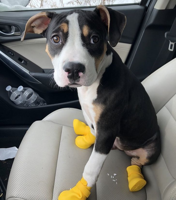 65ce1c52f9bf63b89f17c2236a