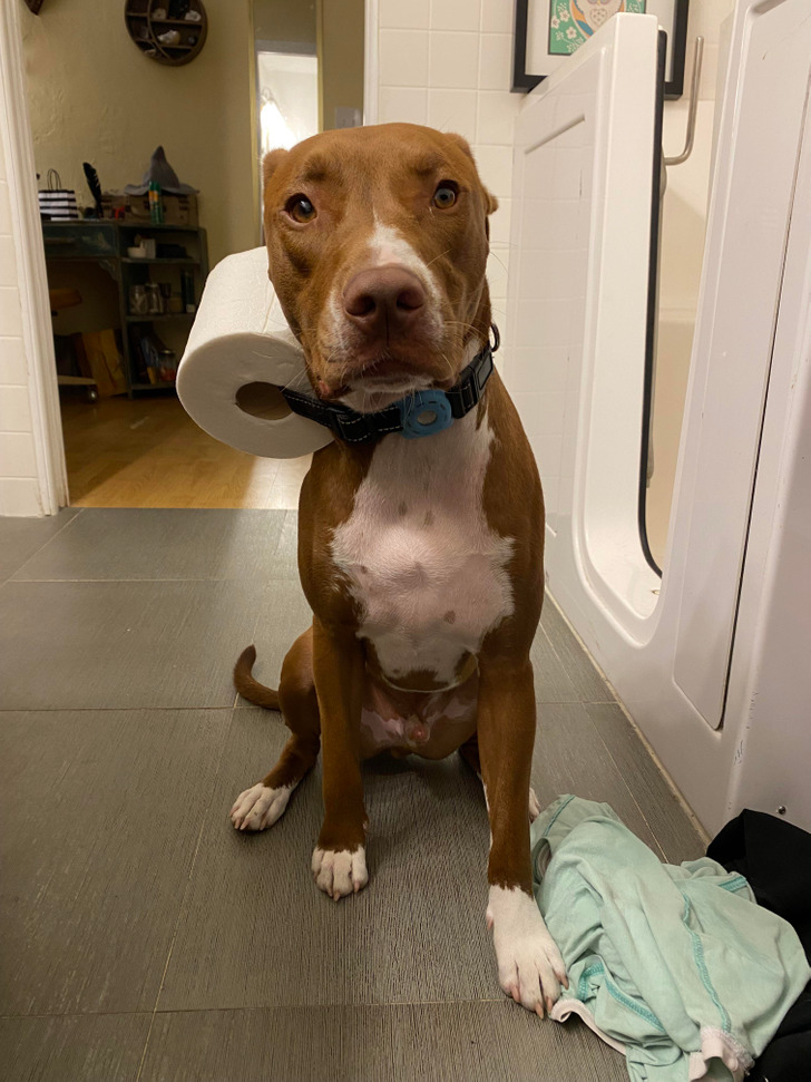 65ce7d590ca6ec178ef591bb2b 65ce7d590ca6ec178ef591bb2b