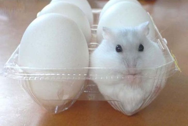 65d294509cbd0fae7afac853e6