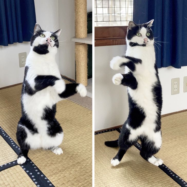 65d8395555874107eb70962693