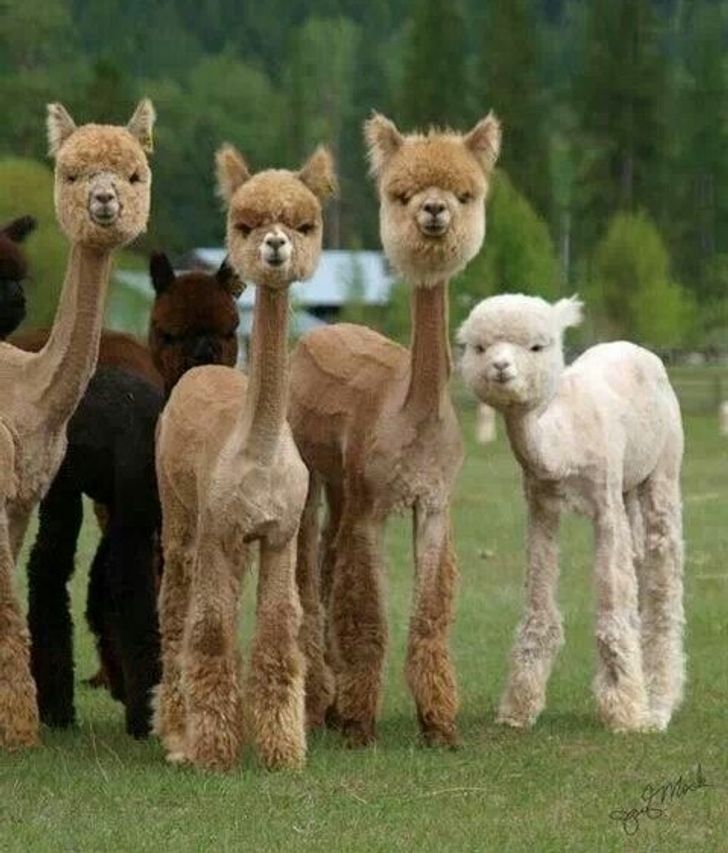 65da2f53c7b57c0053aeeeacc7