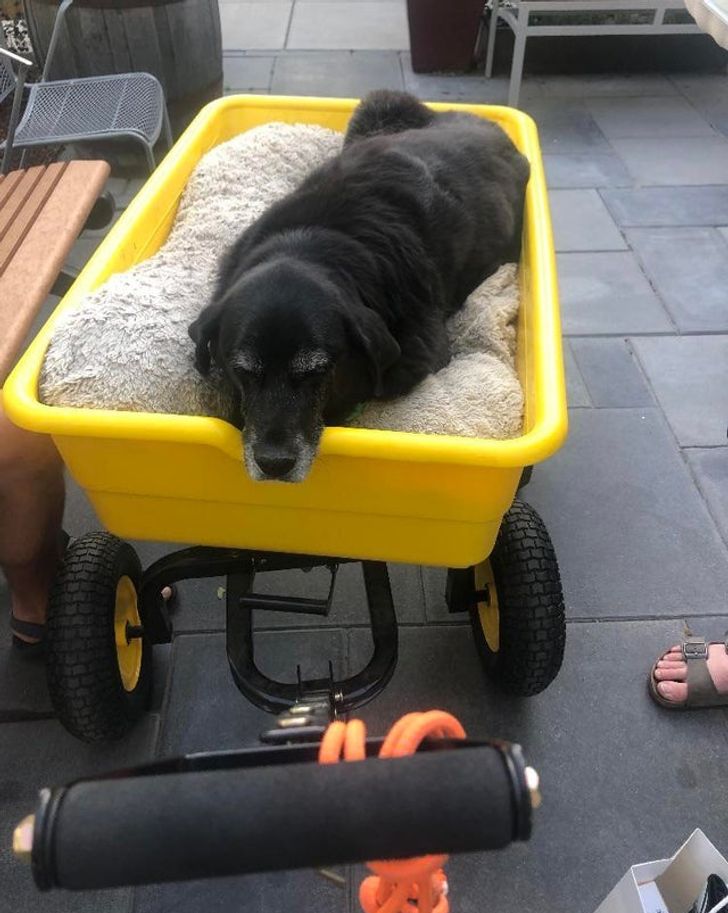 65de2a5c828ff53efe87a4caa2