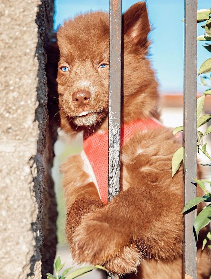 65e8bf5e1d90a98429892e4f43