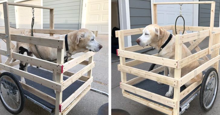 65e9345555875c8a4dfafe726f