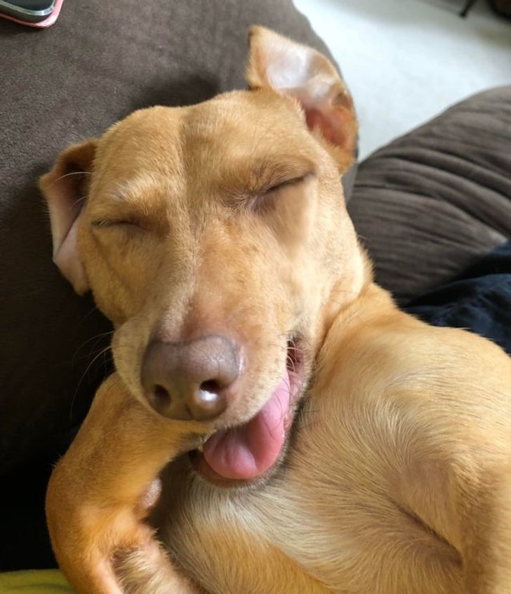 65efa3508e92d055dcad233aff