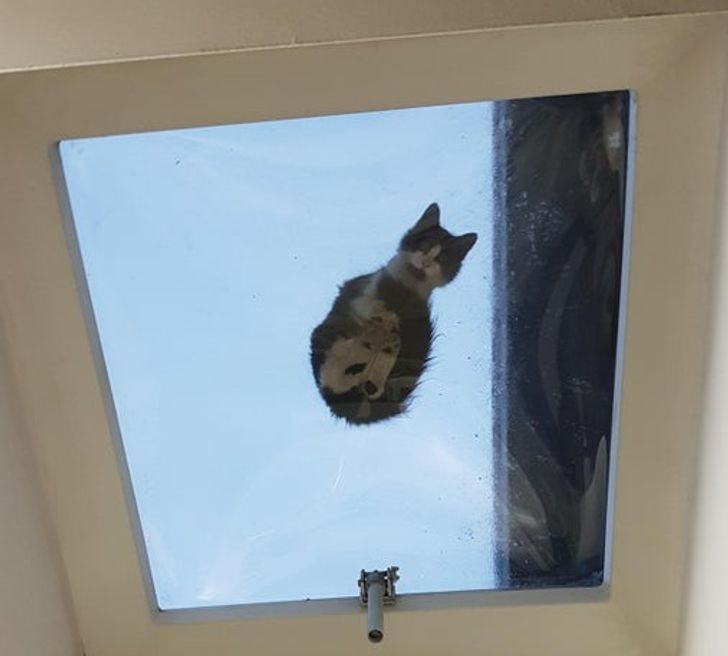 65f0b25b5aa5770bb6e109d7bb