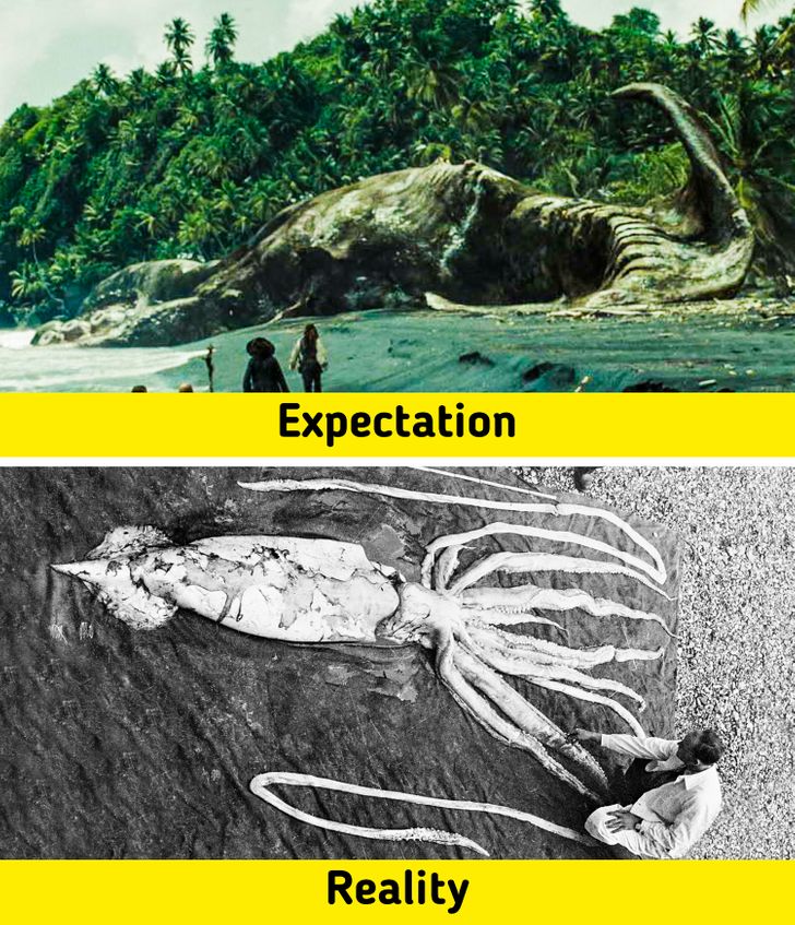 65ff7258b8b3df0e94e0dfeaa9