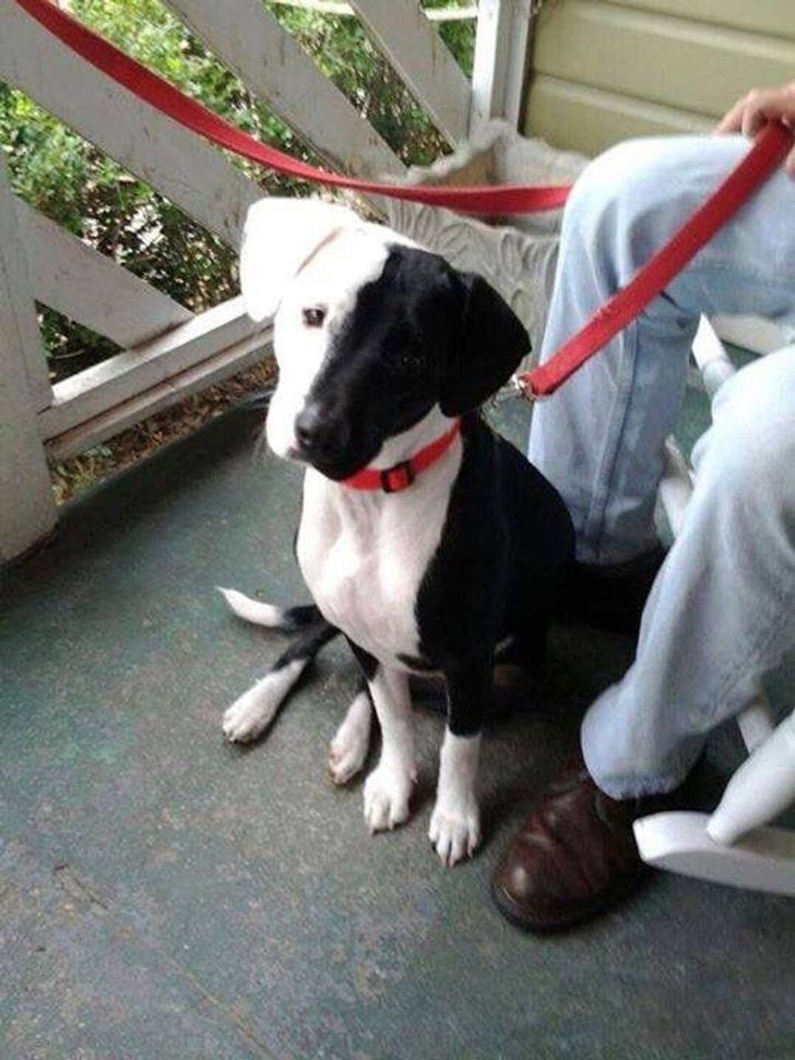 66028b539e82e998e64bb6cfea