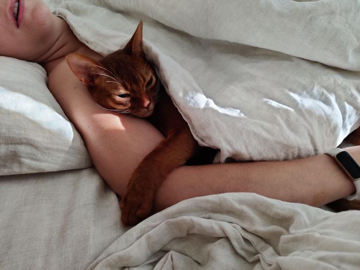 66074151478139ef365974d957 66074151478139ef365974d957