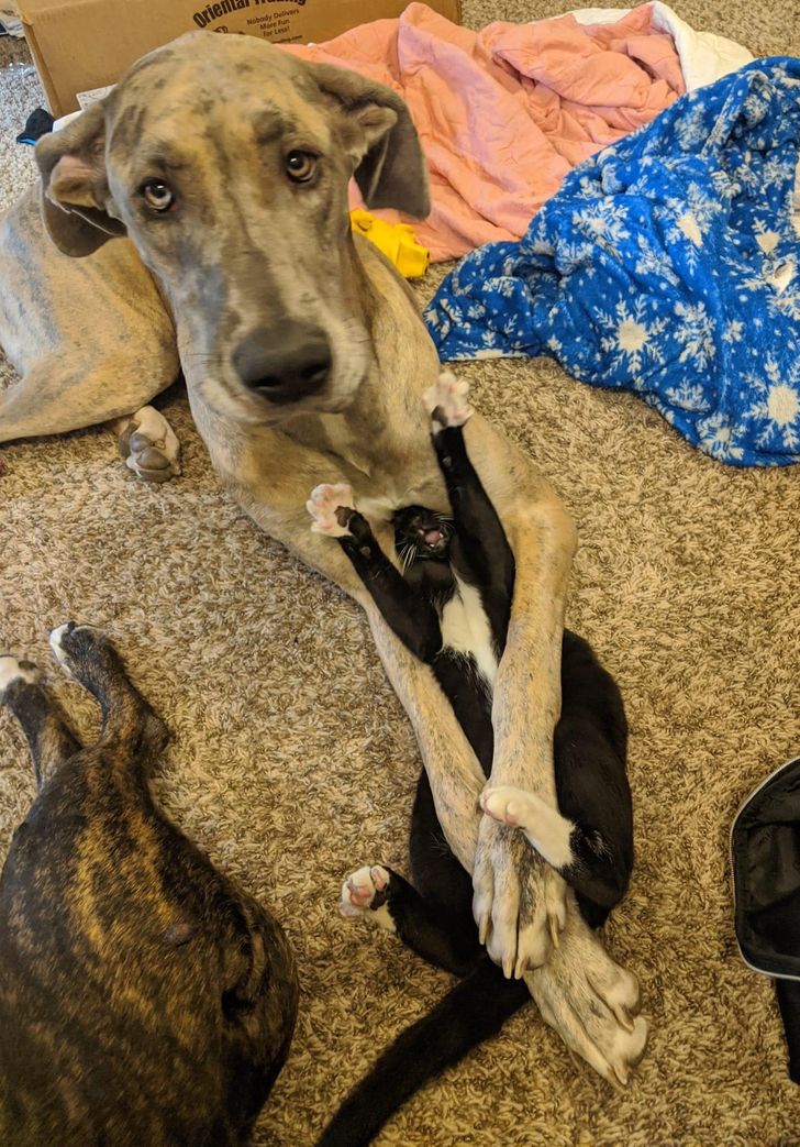 660bb85ed787c85b16b75a0f57