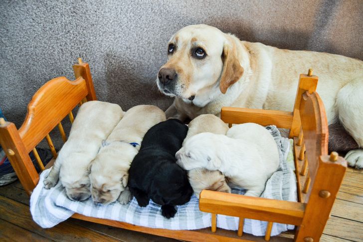 660beb5156b952647f699aedc6