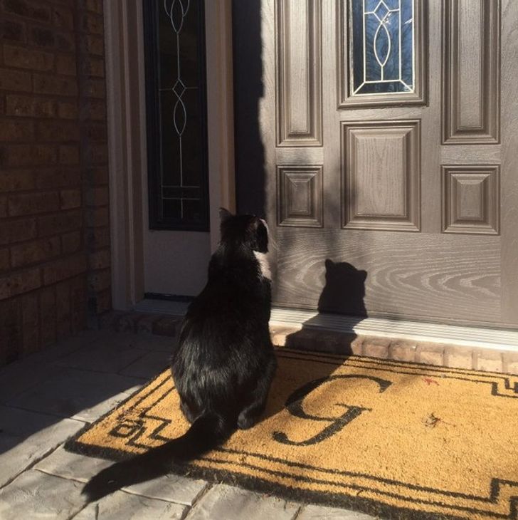 660c4b5c419a9ace1ea4fe5f47