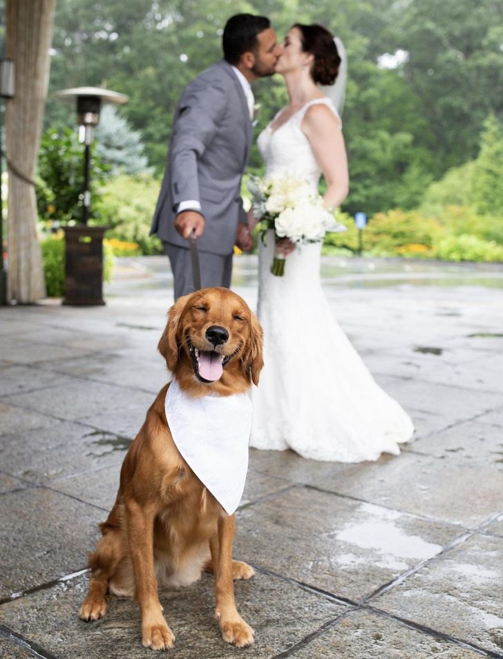 660d195fc494b1d4ac97e6b2e8