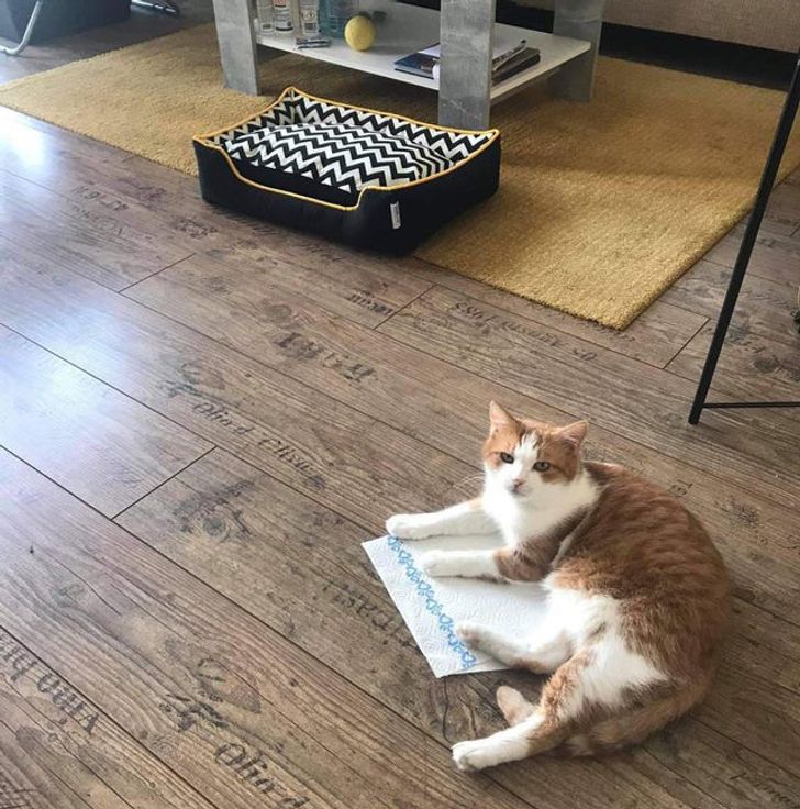 661b0154c28845ab2110a81b8b