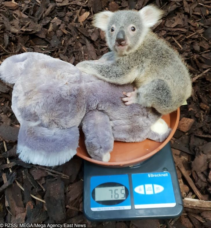 661c02546d9cb7dc53d9e59def