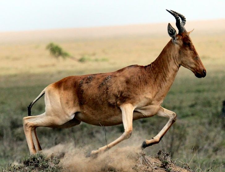 662a9551398af58e3ffc861508