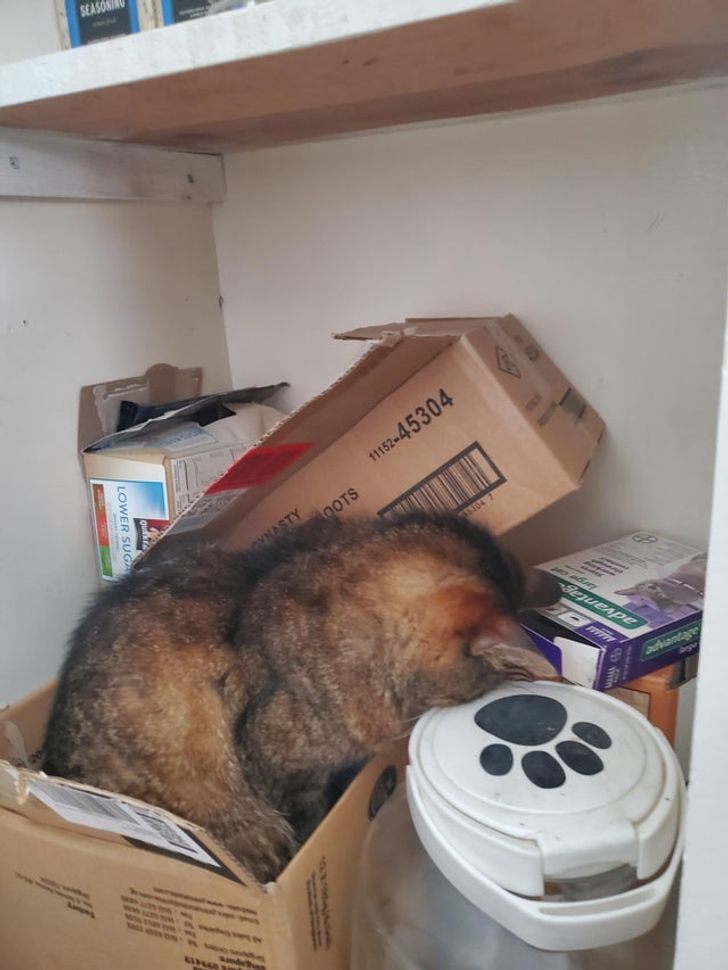 662de85c2e9a5ec31edbcb41fb