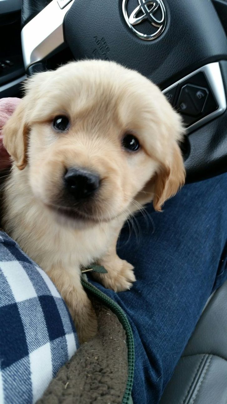 6636f25885a4b3bb9d9c376f89