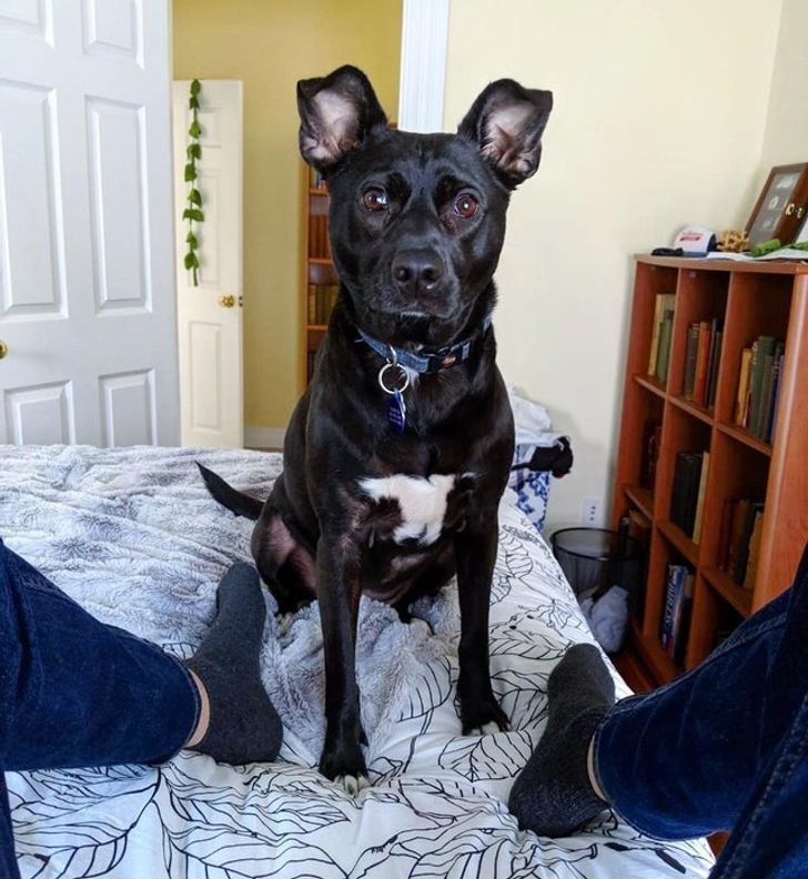 663bc7575aa5dfd084e992ce65