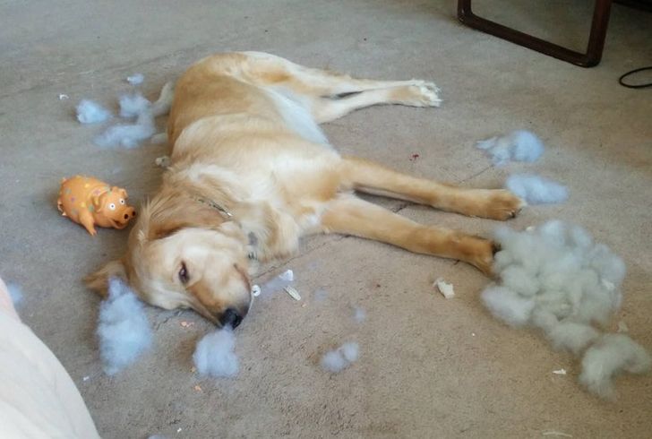 663cc152ca92c70c2d54d688a5